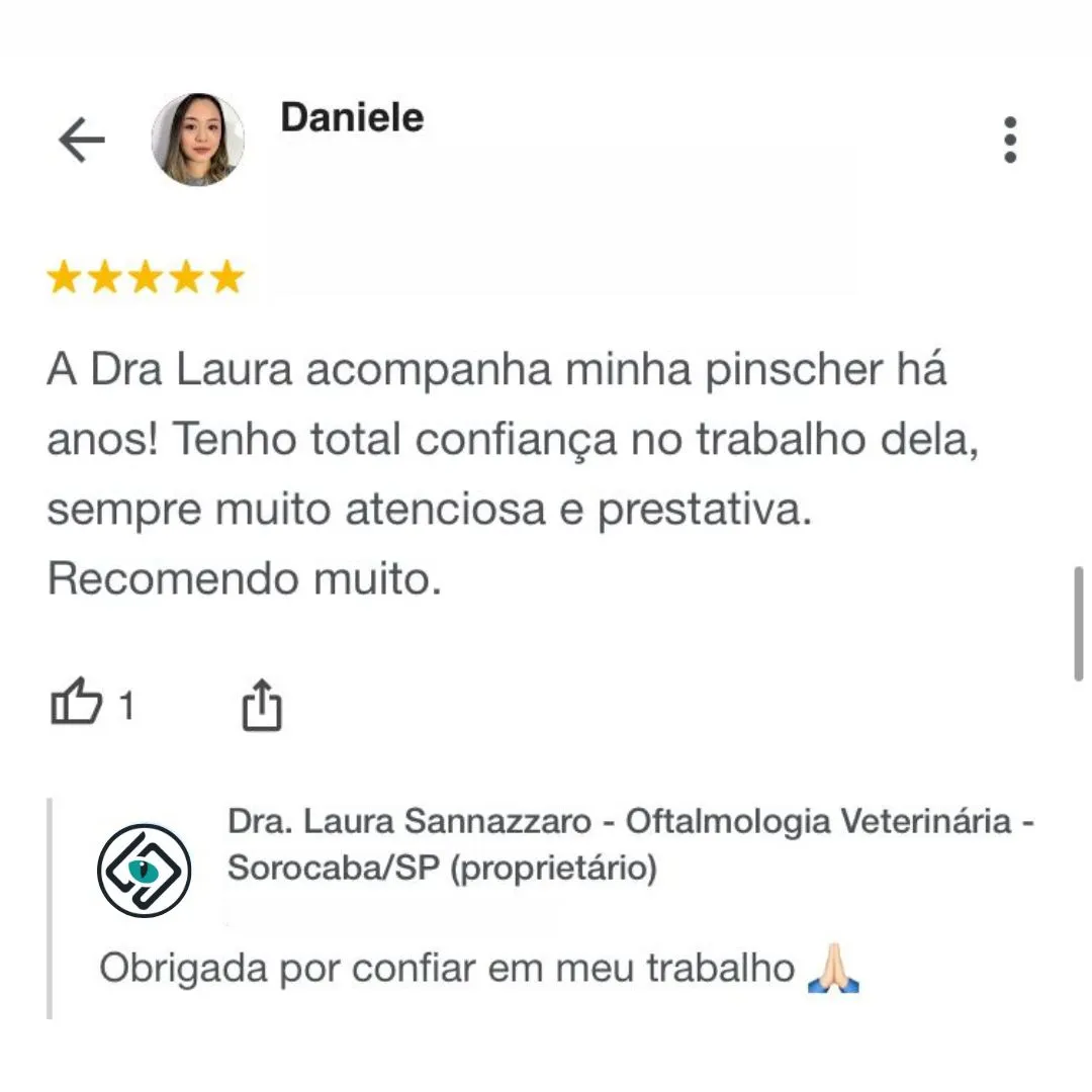 Dra.-Laura-Sannazzaro-Oftalmologista-Veterinaria-Sorocaba-SP-Especialista-em-Oftalmologia-Veterinaria-1