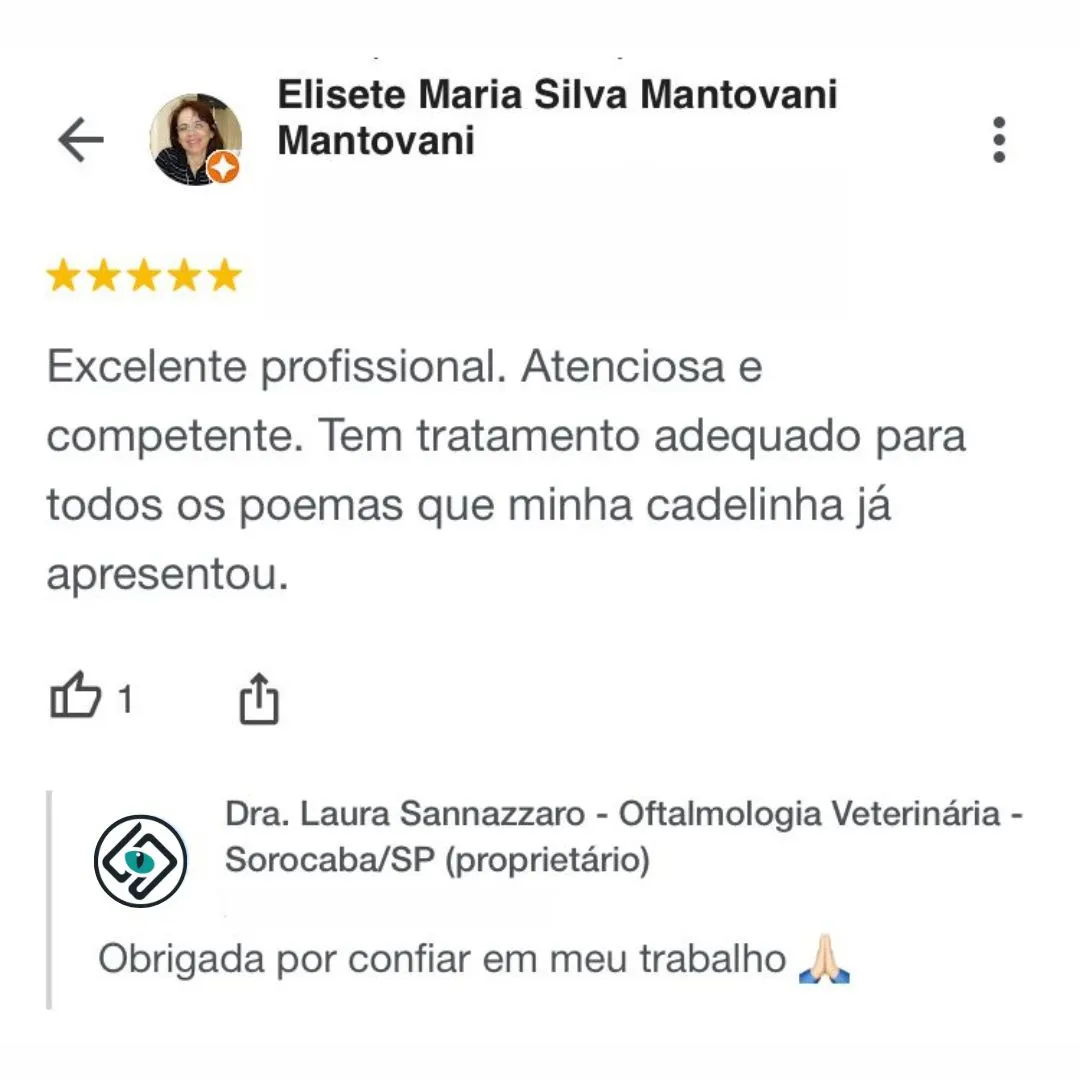 Dra.-Laura-Sannazzaro-Oftalmologista-Veterinaria-Sorocaba-SP-Especialista-em-Oftalmologia-Veterinaria-10