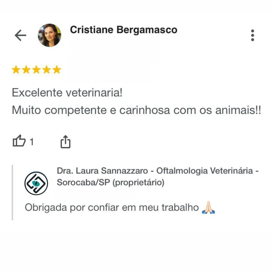 Dra.-Laura-Sannazzaro-Oftalmologista-Veterinaria-Sorocaba-SP-Especialista-em-Oftalmologia-Veterinaria-2