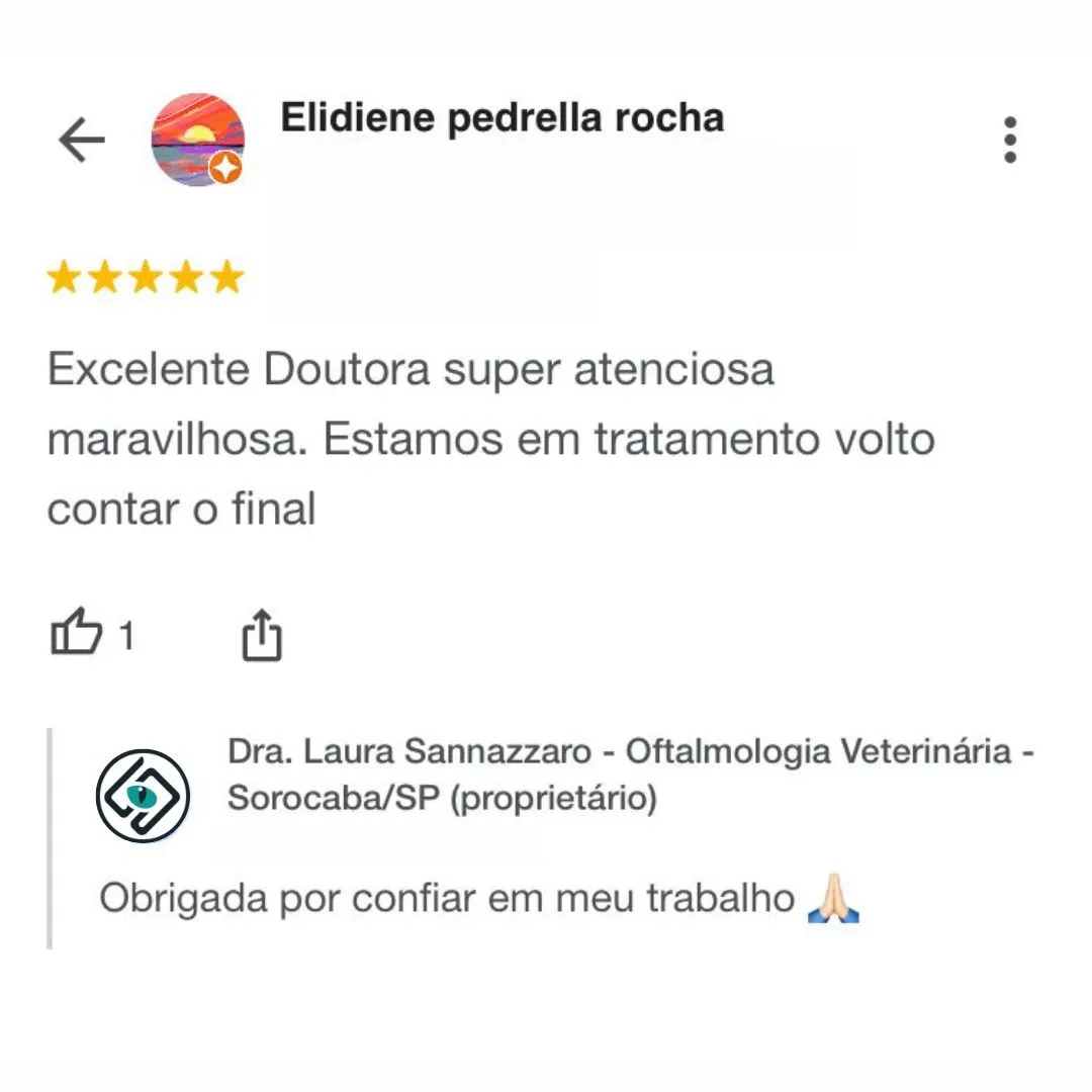 Dra.-Laura-Sannazzaro-Oftalmologista-Veterinaria-Sorocaba-SP-Especialista-em-Oftalmologia-Veterinaria-3