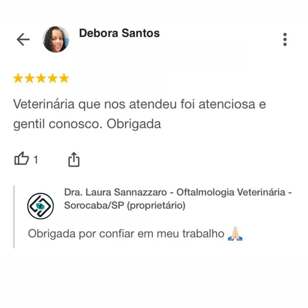 Dra.-Laura-Sannazzaro-Oftalmologista-Veterinaria-Sorocaba-SP-Especialista-em-Oftalmologia-Veterinaria-4
