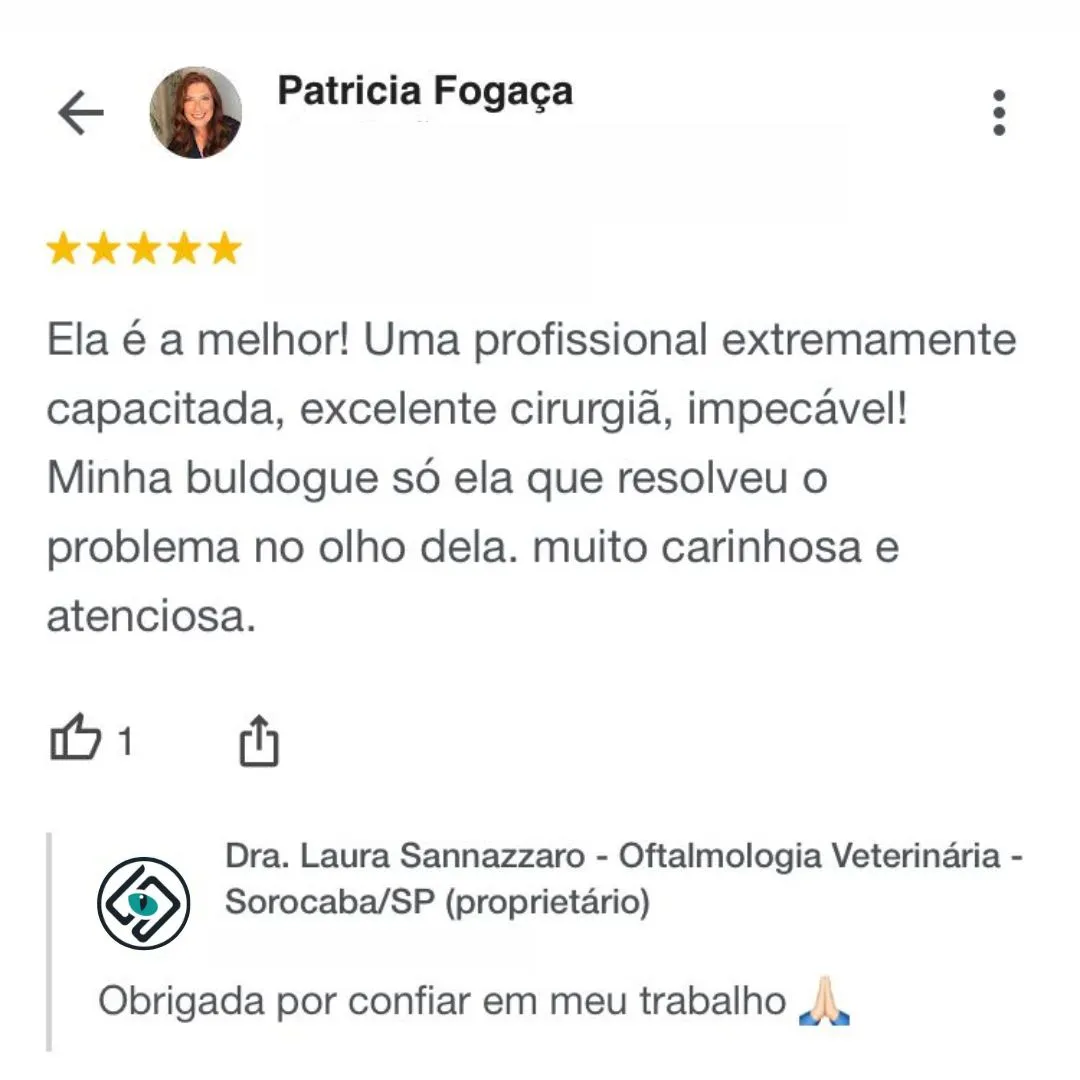 Dra.-Laura-Sannazzaro-Oftalmologista-Veterinaria-Sorocaba-SP-Especialista-em-Oftalmologia-Veterinaria-5