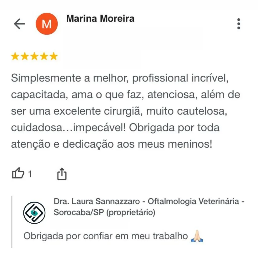 Dra.-Laura-Sannazzaro-Oftalmologista-Veterinaria-Sorocaba-SP-Especialista-em-Oftalmologia-Veterinaria-6