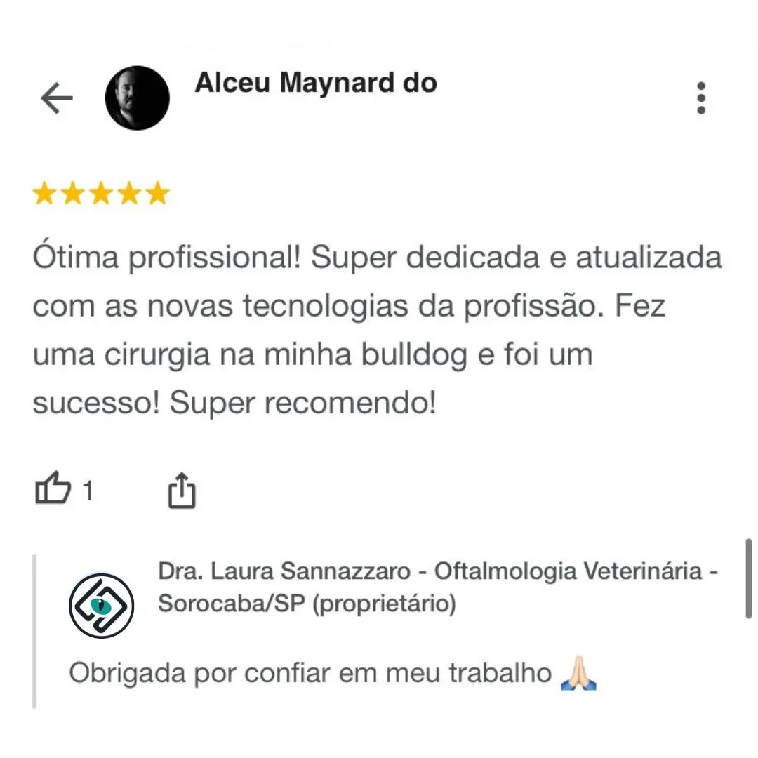 Dra.-Laura-Sannazzaro-Oftalmologista-Veterinaria-Sorocaba-SP-Especialista-em-Oftalmologia-Veterinaria-7
