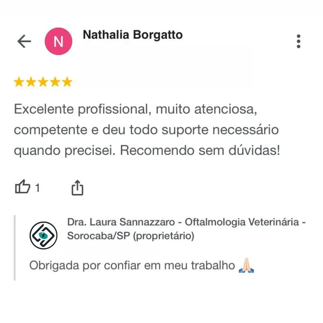 Dra.-Laura-Sannazzaro-Oftalmologista-Veterinaria-Sorocaba-SP-Especialista-em-Oftalmologia-Veterinaria-8