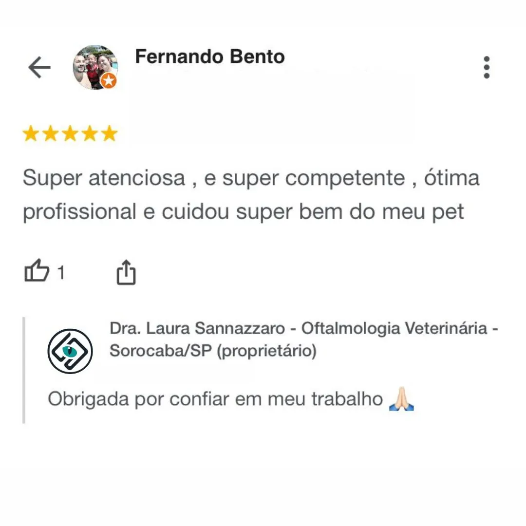 Dra.-Laura-Sannazzaro-Oftalmologista-Veterinaria-Sorocaba-SP-Especialista-em-Oftalmologia-Veterinaria-9